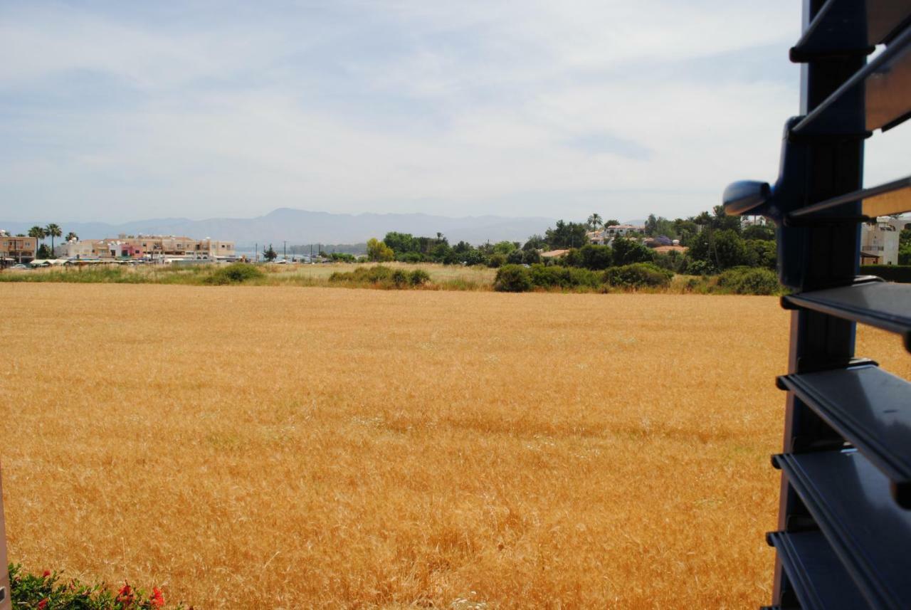 Villa Lachi Polis Exterior foto